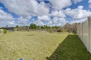 5182 Fiddle Fig Ave, Wimauma, FL 33598 - Photo 35