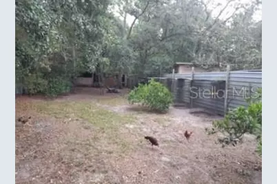 10034 Burton Street, New Port Richey, FL 34654 - Photo 47