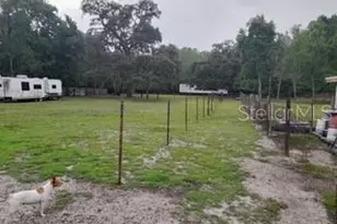 10034 Burton St, New Port Richey, FL 34654 - Photo 9