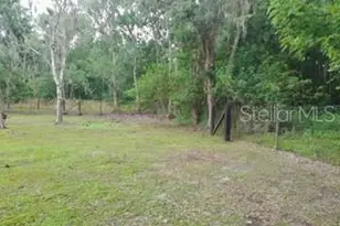 10034 Burton St, New Port Richey, FL 34654 - Photo 33