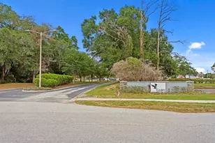 16037 Shinnecock Dr, Odessa, FL 33556 - Photo 35