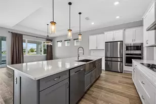 8346 Ivy Stark Blvd, Wesley Chapel, FL 33545 - Photo 5