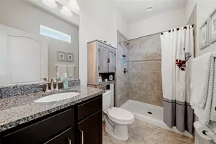 24115 San Giovanni Dr, Land O Lakes, FL 34639 - Photo 39