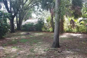 4617 Snook Dr, Tampa, FL 33617 - Photo 19
