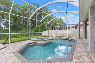 11621 Renaissance View Ct, Tampa, FL 33626 - Photo 29