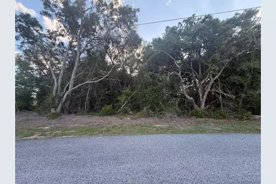 Lot 4, Ocala, FL 34473 - Photo 3