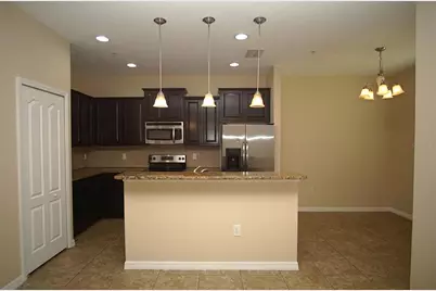 11406 Marbella Terrace Street, Tampa, FL 33637 - Photo 5