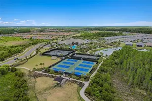 4647 Garofalo Rd, Wesley Chapel, FL 33543 - Photo 43
