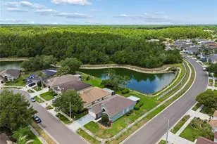 30600 Nickerson Loop, Wesley Chapel, FL 33543 - Photo 51