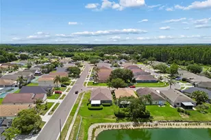 30600 Nickerson Loop, Wesley Chapel, FL 33543 - Photo 43