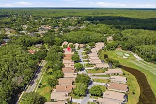 5163 Pinnacle Dr, Oldsmar, FL 34677 - Photo 37