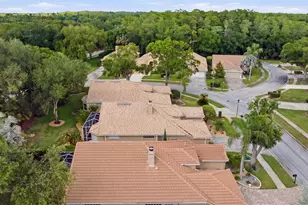5163 Pinnacle Dr, Oldsmar, FL 34677 - Photo 43