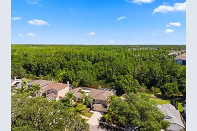 11213 Clayridge Drive, Tampa, FL 33635 - Photo 59