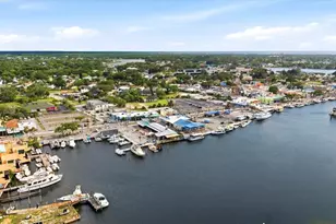 1038 Wideview Ave, Tarpon Springs, FL 34689 - Photo 53