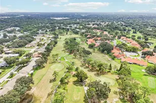 3157 Mission Grove Dr, Palm Harbor, FL 34684 - Photo 53
