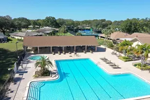 3157 Mission Grove Dr, Palm Harbor, FL 34684 - Photo 57