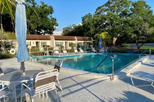 3157 Mission Grove Dr, Palm Harbor, FL 34684 - Photo 43