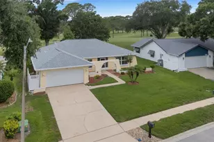 1166 Gillespie Dr, Palm Harbor, FL 34684 - Photo 49