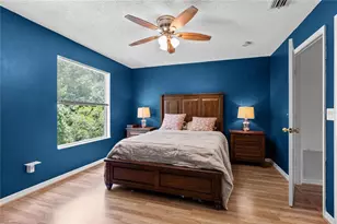 4229 Winding River Way, Land O Lakes, FL 34639 - Photo 21