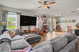 11609 Fringetree Ct, Riverview, FL 33579 - Photo 9