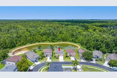 25147 Geddy Drive, Land O Lakes, FL 34639 - Photo 83