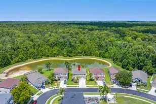 25147 Geddy Dr, Land O Lakes, FL 34639 - Photo 83