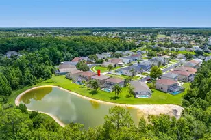 25147 Geddy Dr, Land O Lakes, FL 34639 - Photo 81