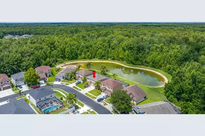 25147 Geddy Drive, Land O Lakes, FL 34639 - Photo 79