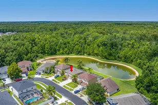 25147 Geddy Dr, Land O Lakes, FL 34639 - Photo 79