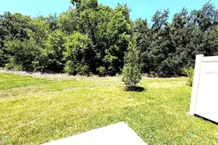 2081 Hallier Cv, Wesley Chapel, FL 33543 - Photo 19
