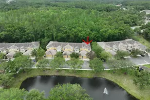 8155 Stone Leaf Ln, Tampa, FL 33647 - Photo 5