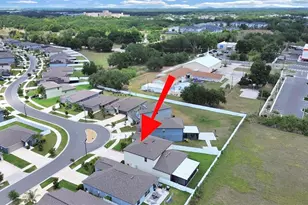 10384 Scarlet Skimmer, Riverview, FL 33578 - Photo 49