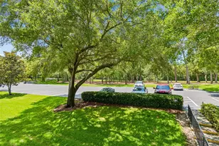 36750 US Hwy 19, Palm Harbor, FL 34684 - Photo 55