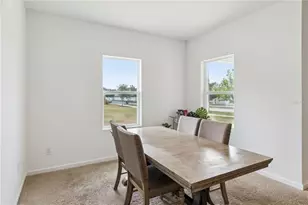 903 Shimmering Oaks Ln, Seffner, FL 33584 - Photo 13