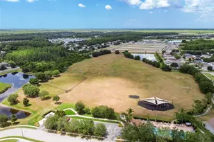 3318 Clover Blossom Cir, Land O Lakes, FL 34638 - Photo 41