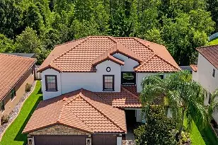 3842 Wellingborough Ct, Land O Lakes, FL 34638 - Photo 61