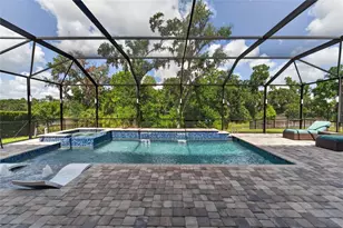 4285 Star Vw Pl, Brandon, FL 33511 - Photo 83