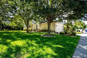 403 Harbor Ridge Dr, Palm Harbor, FL 34683 - Photo 29