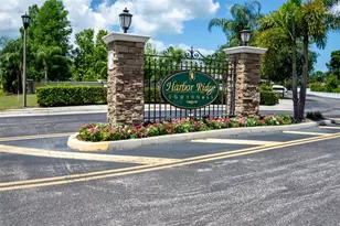 403 Harbor Ridge Dr, Palm Harbor, FL 34683 - Photo 5
