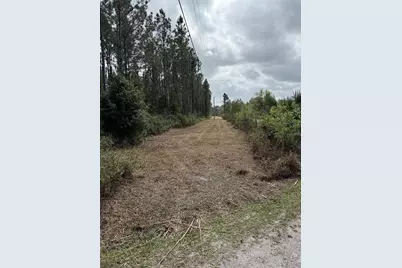 859 Wild Cur Road, Pierson, FL 32180 - Photo 7