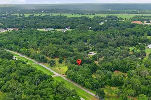 13525 301 Hwy N, Thonotosassa, FL 33592 - Photo 81