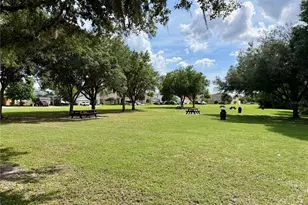 9126 Tollison Loop, Land O Lakes, FL 34638 - Photo 45