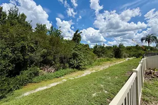 9126 Tollison Loop, Land O Lakes, FL 34638 - Photo 43