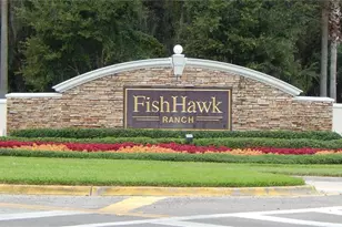 5869 Meadowpark Pl, Lithia, FL 33547 - Photo 21