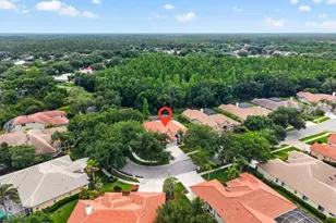 17912 Arbor Haven Dr, Tampa, FL 33647 - Photo 29