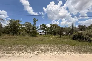 0 Fulmar Rd, Weeki Wachee, FL 34614 - Photo 1