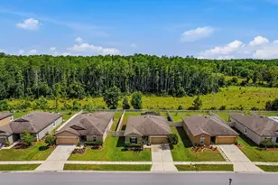 18738 Alfaro Loop, Spring Hill, FL 34610 - Photo 3