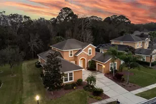 3350 Watermark Dr, Wesley Chapel, FL 33544 - Photo 1