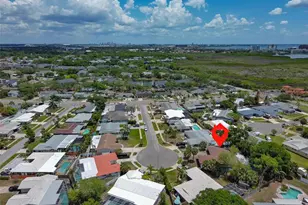 8410 Lava Pl, Tampa, FL 33615 - Photo 51