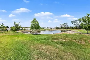 23231 Scaglione Dr, Lutz, FL 33549 - Photo 35